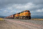 BNSF 4175